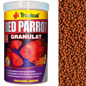 Tropical RED PARROT