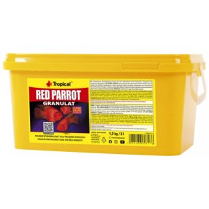 Tropical RED PARROT
