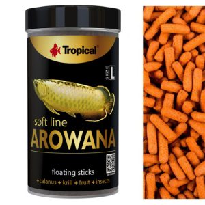 Tropical Soft Line Arowana Size L