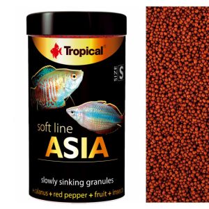 Tropical Soft Line Asia Size S