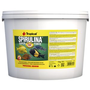 Tropical Super Spirulina Forte (36%)