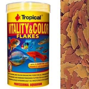 Tropical VITALITY COLOR