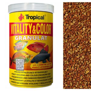 Tropical VITALITY COLOR
