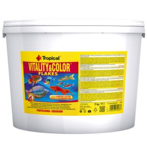 Tropical Vitality&Color
