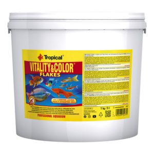 Tropical Vitality&Color