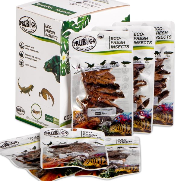 ProBugs Eco-Fresh Grasshopper 15 x 8pcs - świeże koniki polne 15 saszetek sklep premium dla akwarystów