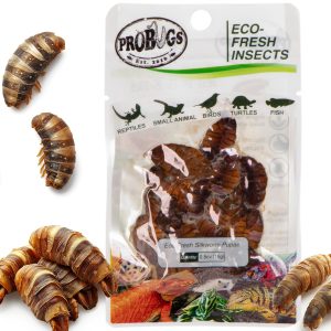 ProBugs Eco-Fresh Silkworm 15g - świeże larwy jedwabnika sklep akwarystyczny śląsk