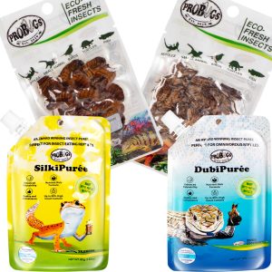Probugs Chameleon Set Plus - kompletna dieta dla kameleonów robaki i żel z witaminami sklep akwarystyczny śląsk
