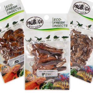 Probugs Reptiles Set - zestaw robaków dla średnich gadów sklep akwarystyczny śląsk