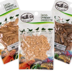 Probugs Small Gecko and Amphibians Set - zestaw dla małych gadów i płazów sklep akwarystyczny śląsk