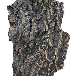 PROGROW CORK BARK 55-70CM 1KG sklep akwarystyczny śląsk