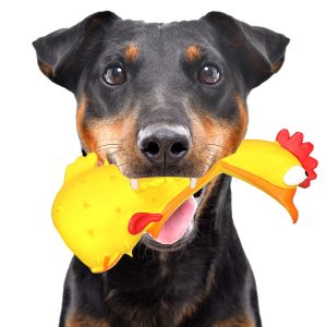 Lupipets Dog Screaming Chicken - zabawka piszcząca 20cm sklep akwarystyczny śląsk
