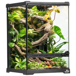 Terrario Oasis Verde 5 - terrarium 20x20x30cm sklep akwarystyczny śląsk