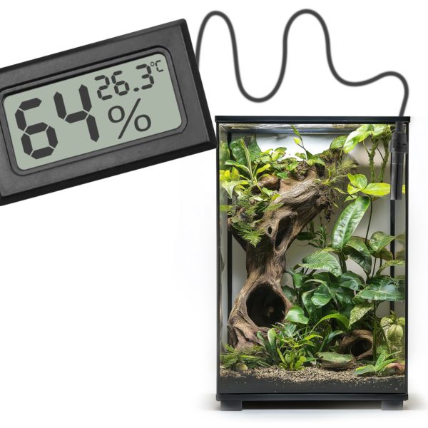 Akwarium / terrarium / Animals